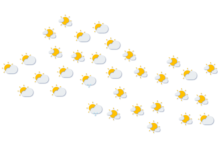 Forecast