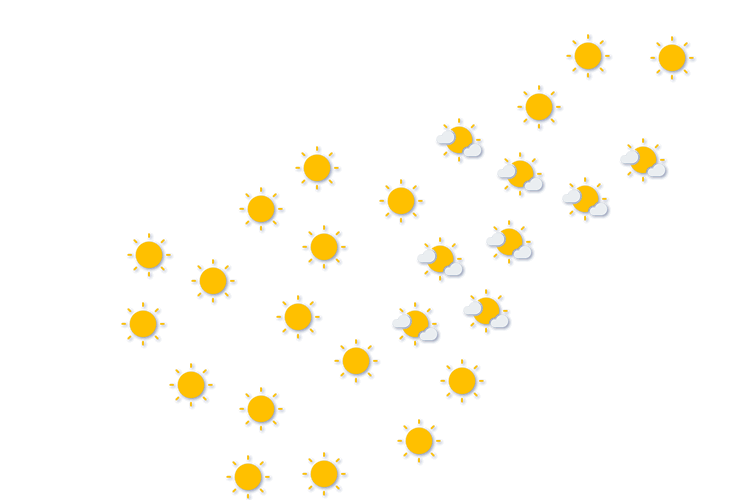 Forecast