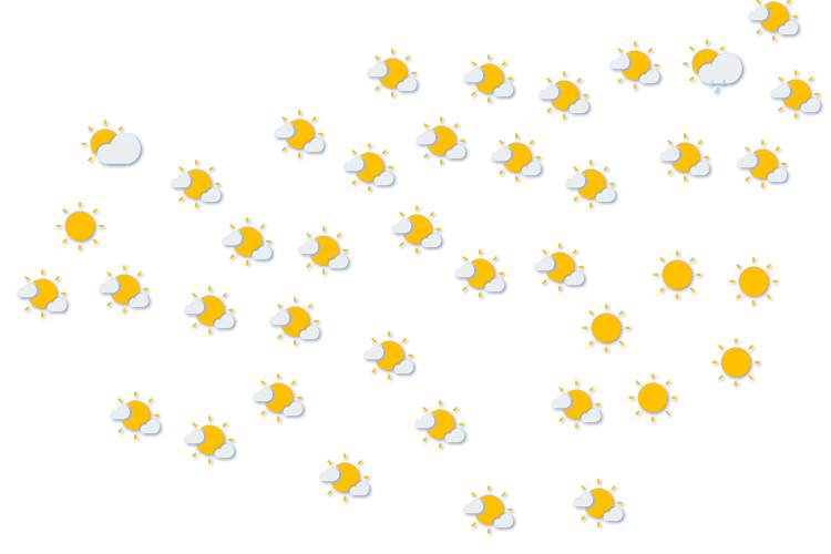Forecast
