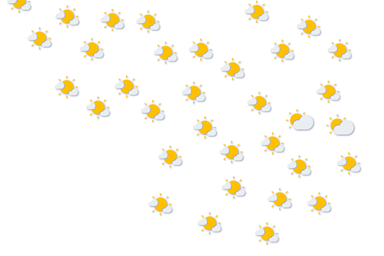 Forecast