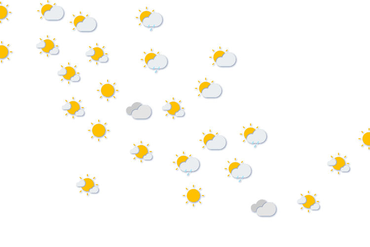 Forecast