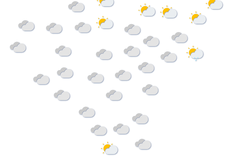 Forecast