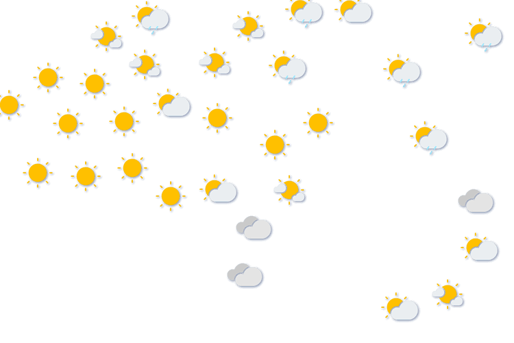 Forecast