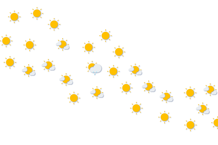 Forecast