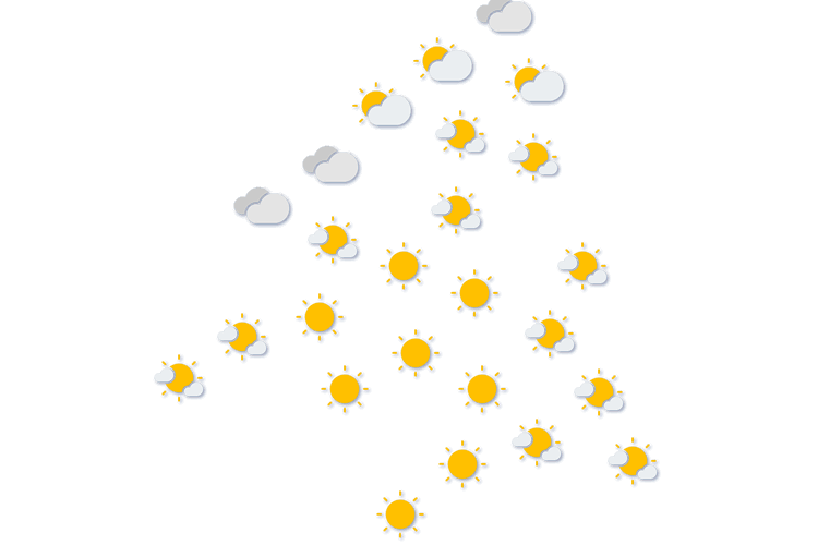 Forecast