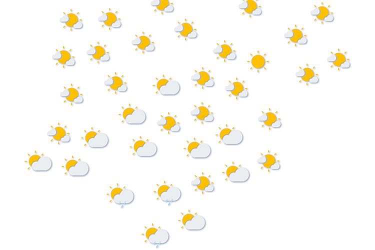 Forecast