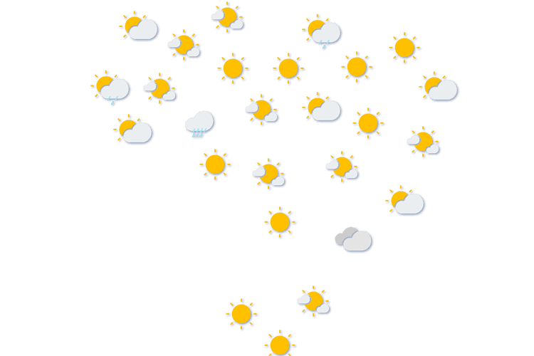 Forecast