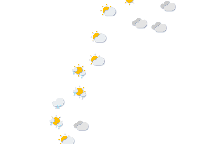 Forecast