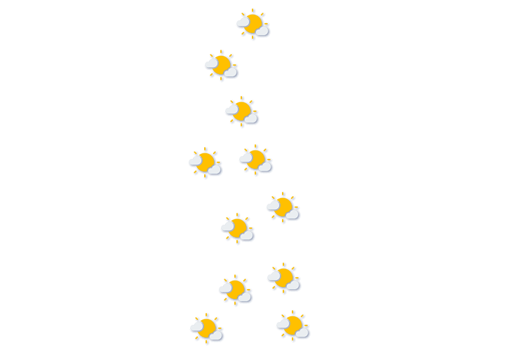 Forecast