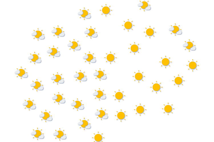 Forecast