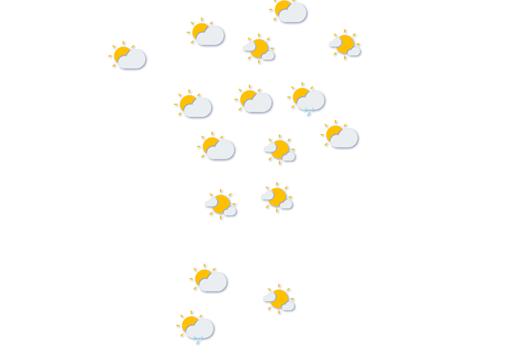Forecast