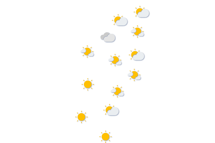 Forecast