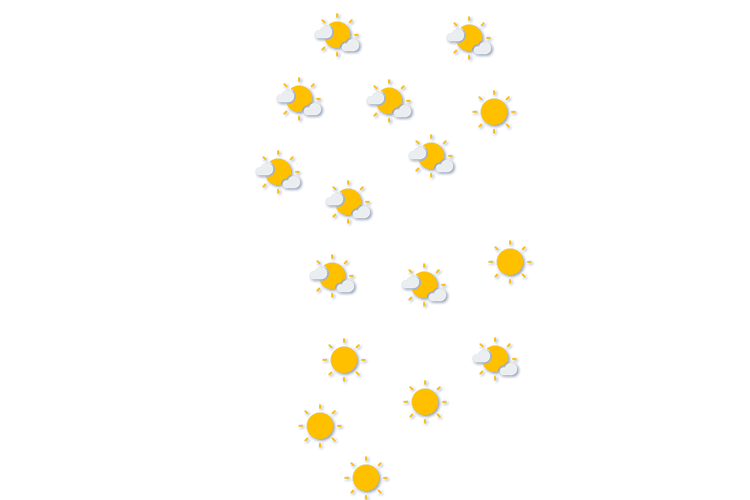 Forecast