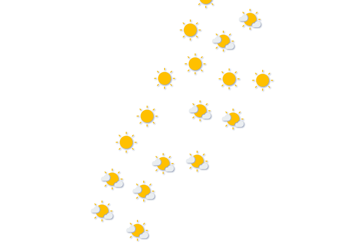 Forecast