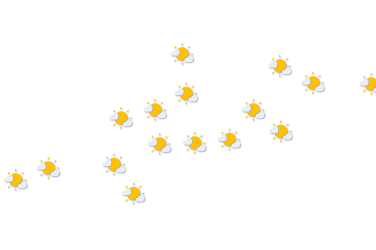 Forecast