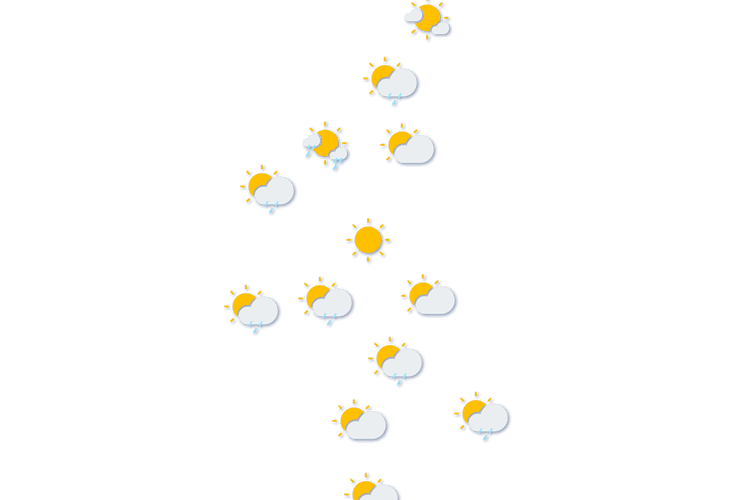 Forecast