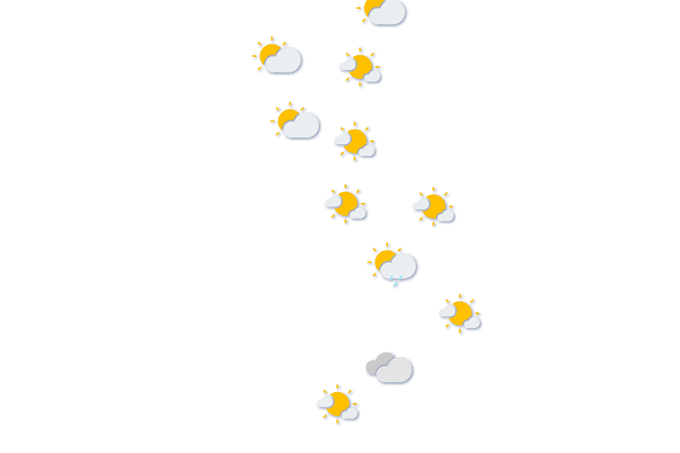 Forecast