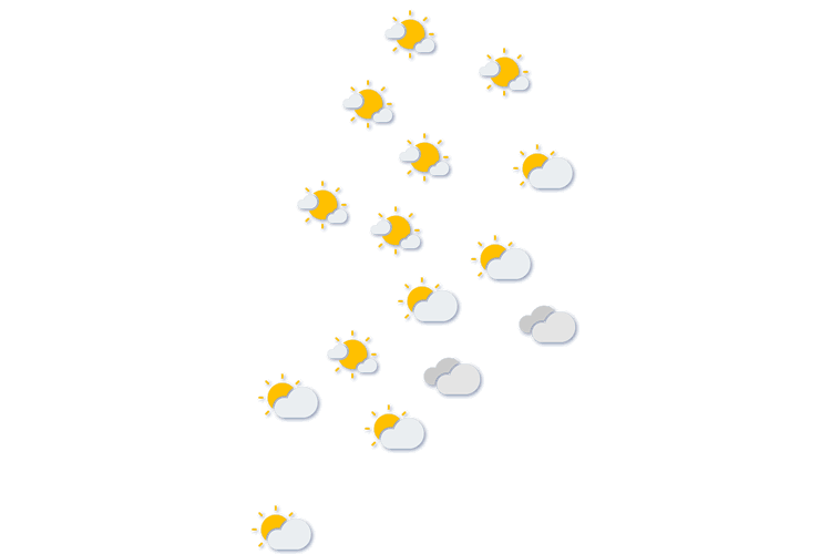 Forecast