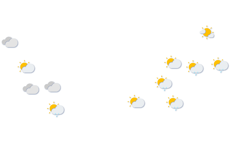 Forecast
