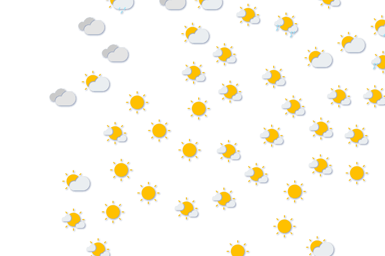 Forecast