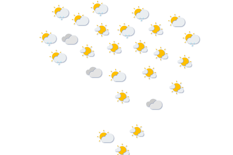 Forecast