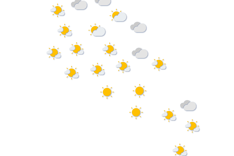 Forecast