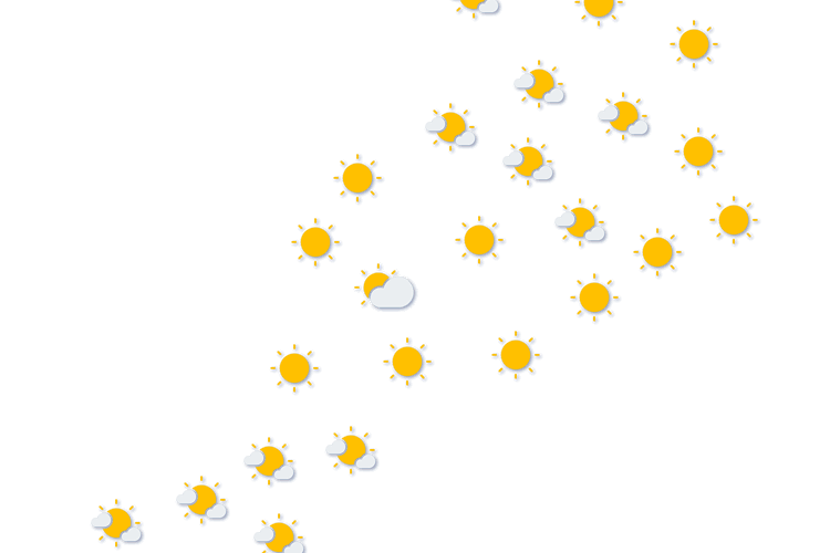Forecast