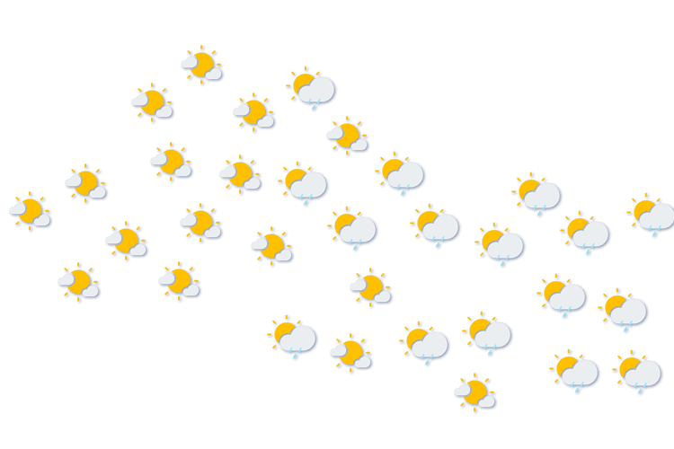 Forecast