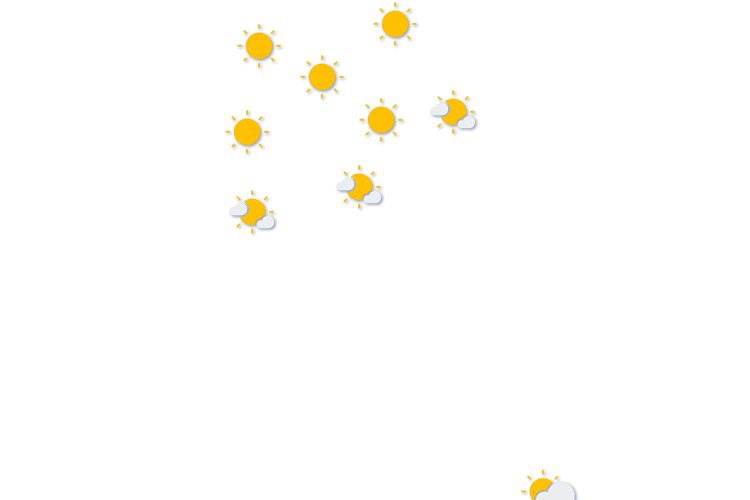 Forecast