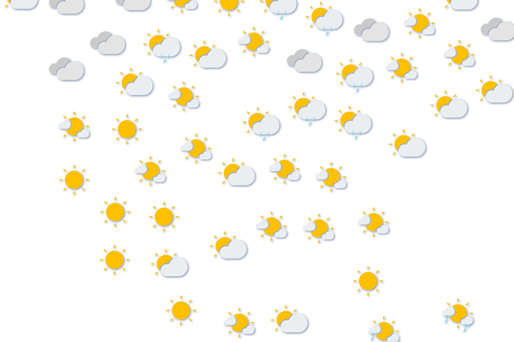 Forecast