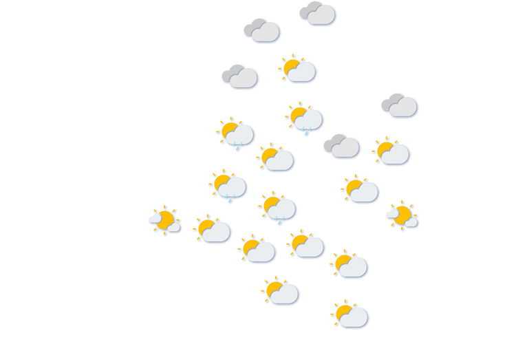 Forecast