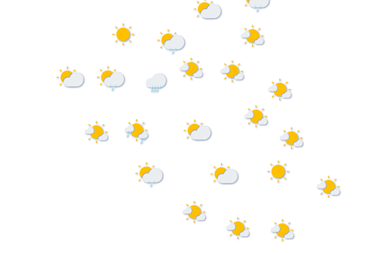 Forecast