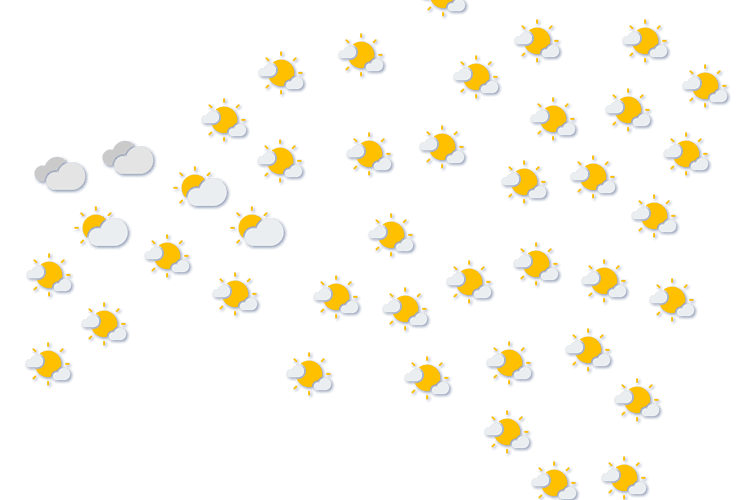 Forecast