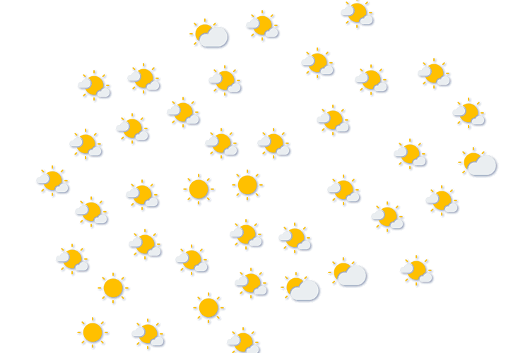 Forecast