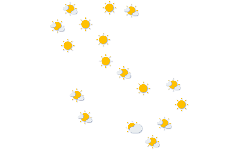 Forecast