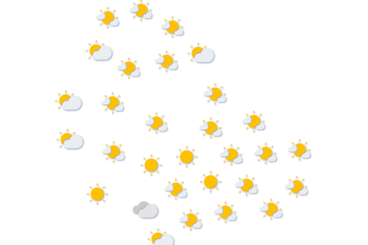 Forecast
