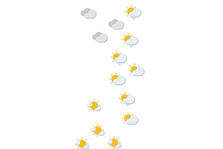 Forecast