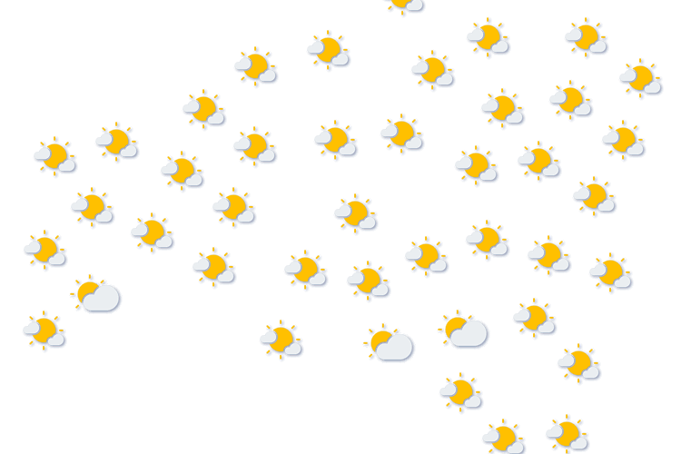 Forecast