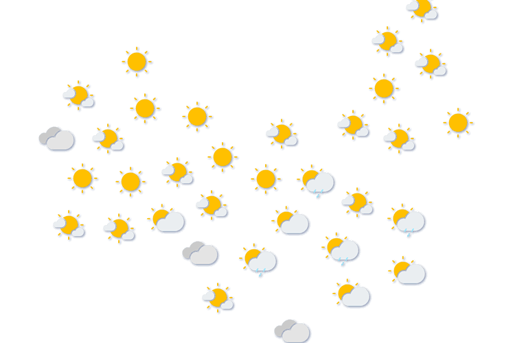 Forecast