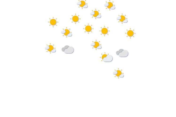 Forecast