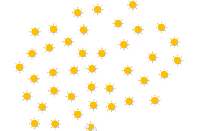 Forecast