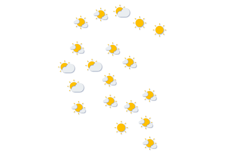 Forecast