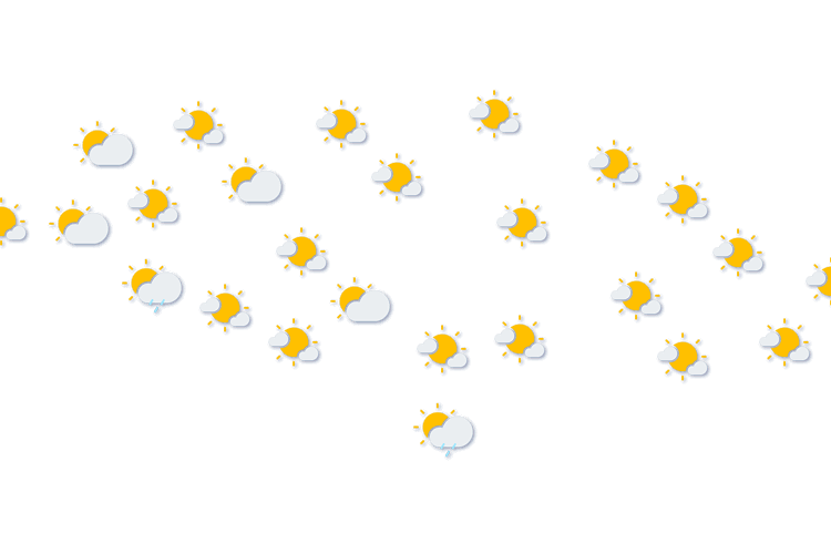 Forecast