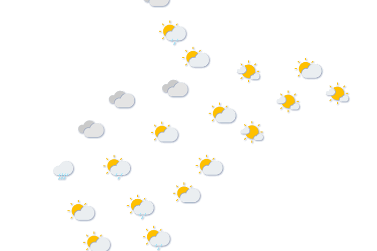 Forecast