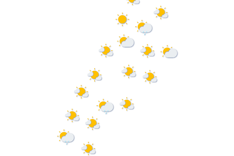 Forecast