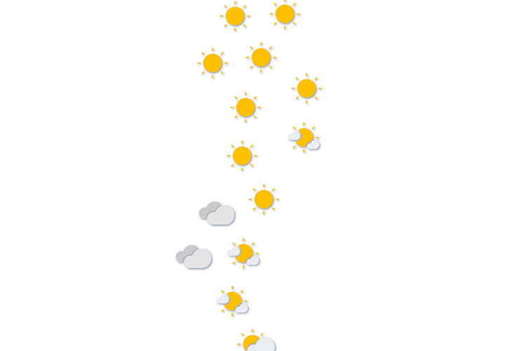 Forecast
