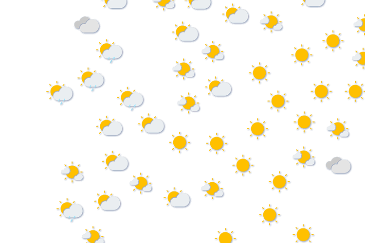 Forecast