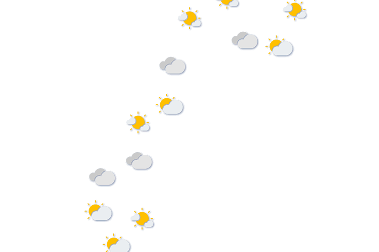 Forecast