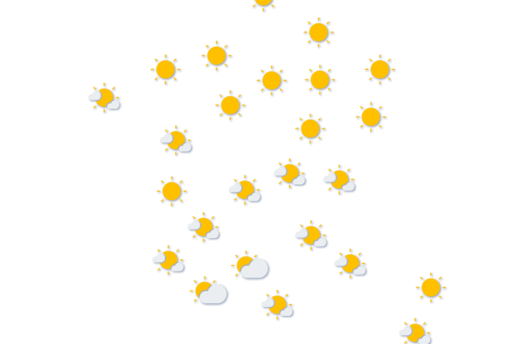Forecast