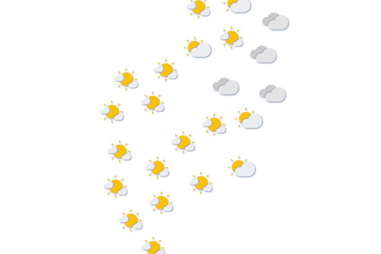 Forecast